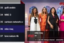 Download INTV+ Free IPTV APK With Activation New code 8